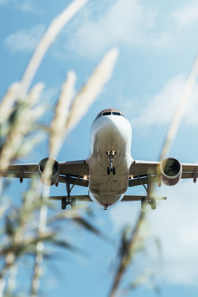 Food & Farm for Health Project: Smarter Air Cargo for Humanitarian Impact